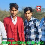 Robin Akediya ki Dillagi artwork