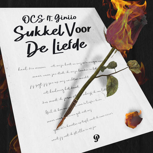 Sukkel Voor De Liefde_poster_image