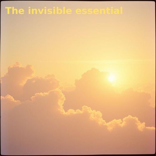 The Invisible Essential cover art