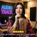 Zama Da Hamzulo Sara Da Gudar Khwala