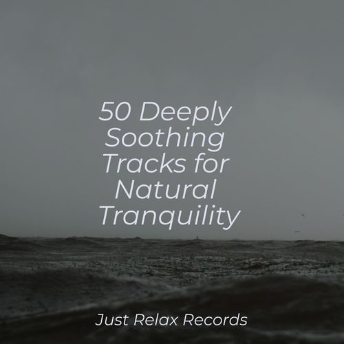 50 Deeply Soothing Tracks for Natural Tranquility