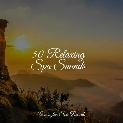 50 Relaxing Spa Sounds