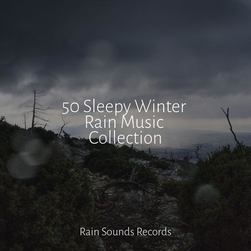 50 Sleepy Winter Rain Music Collection