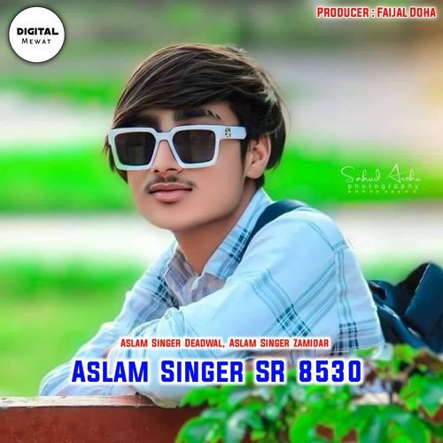 ASLAM SINGAR SR 8530 cover art