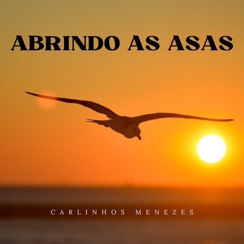 Raça de Peão cover art