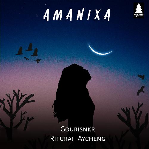 Amanixa - Single_poster_image