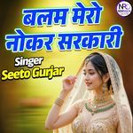 Balam Mero Nokar Sarkari