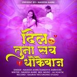 Dil Tuna Say Dhokebaaz