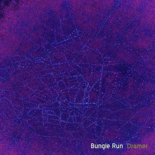 Bungle Run