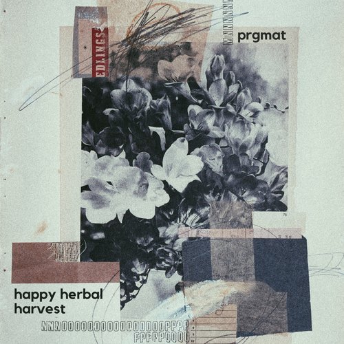 Dream Factor cover art