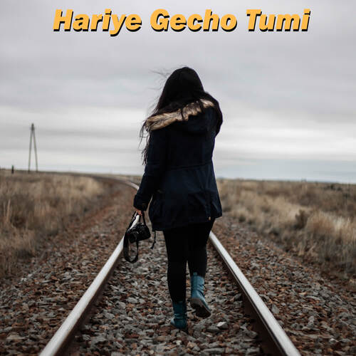 Hariye Gecho Tumi