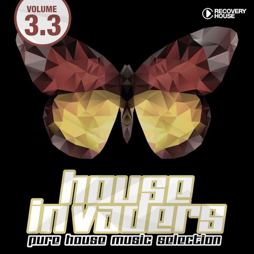 House Invaders - Pure House Music, Vol. 3.3