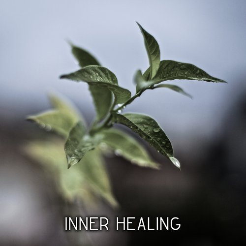 Inner Healing – Pure Chill, Yoga Music, Deep Meditation, Zen Music, Chill Out 2017, Buddha Lounge