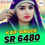 Kaif Singer SR 6480