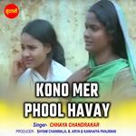 Kono Mer Phool Havay
