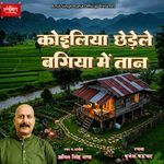 Koyaliya Chhedele Bagiya Mein Taan
