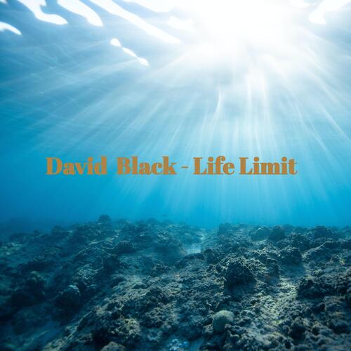 Life Limit