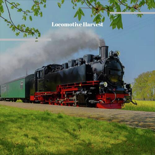 Lynne cover art
