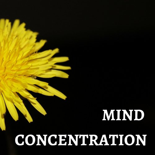 Mind Concentration - Songs to Optimize Mental State & Environment