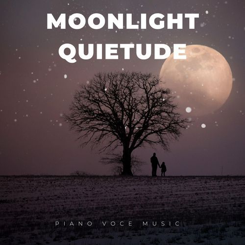 Moonlight Quietude