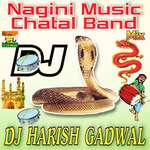 Nagini Music Chatal Band Mix