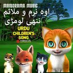 Oh Narm O Mulaaem Nanhi Lomri