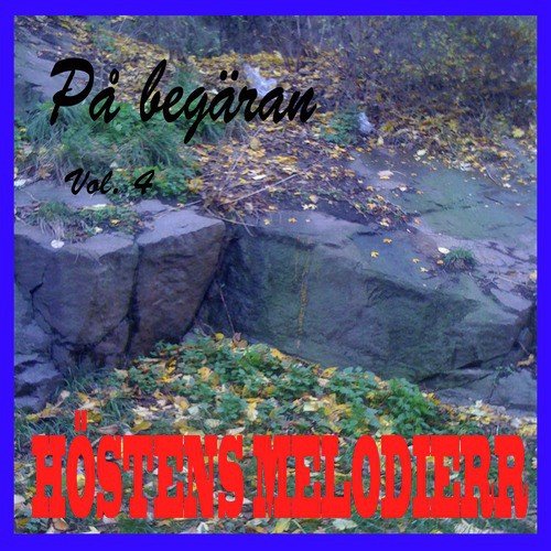 Det skall blåsa nya vindar (årets sista dag) cover art