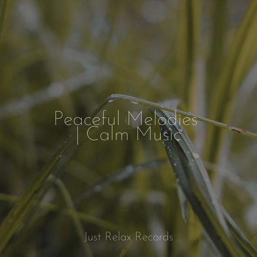 Peaceful Melodies | Calm Music