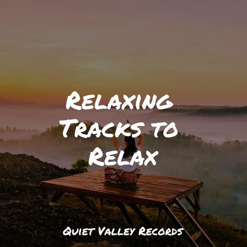 Meditating Music cover art