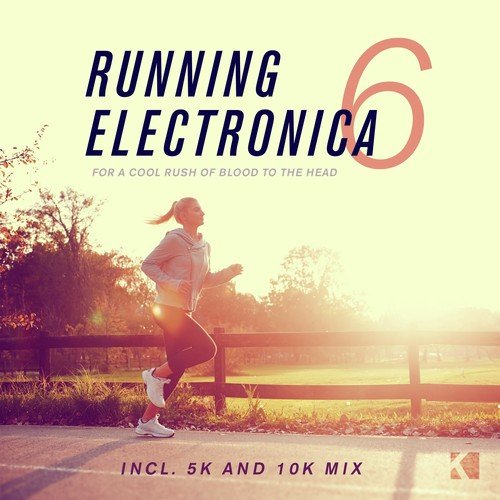 Running Electronica, Vol. 6 (For a Cool Rush of Blood to the Head)
