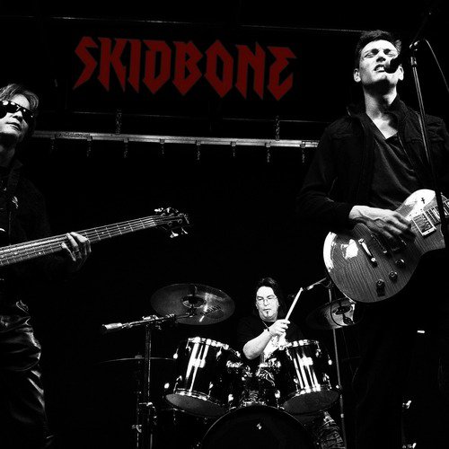 Skidbone