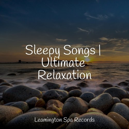 Meditating Music cover art