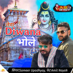 Tera Diwana Bhole (feat. Amit Nayak)-BS0EdEBAaEc