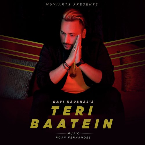 Teri Baatein