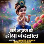 Teri Bhawaj Ke Hoya Nandlal
