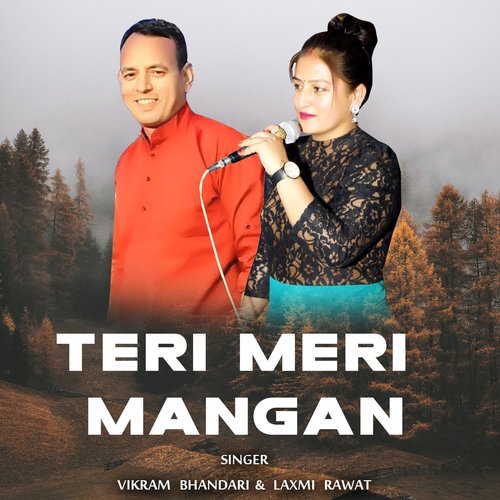 Teri Meri Mangan