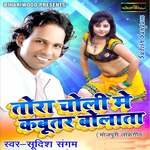 Tora Choli Mein Kabotar Bolata