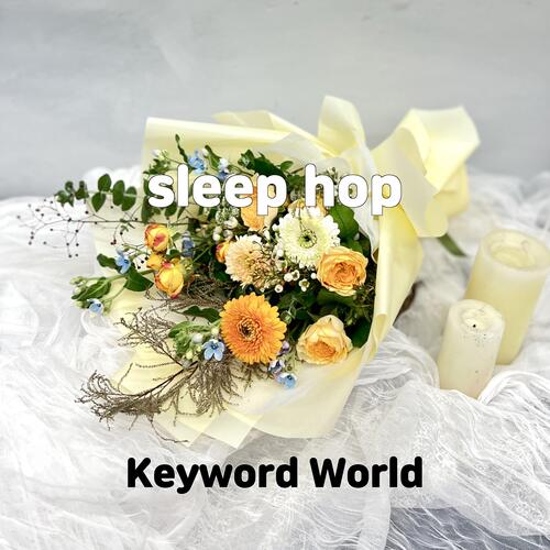 sleep hop cover art