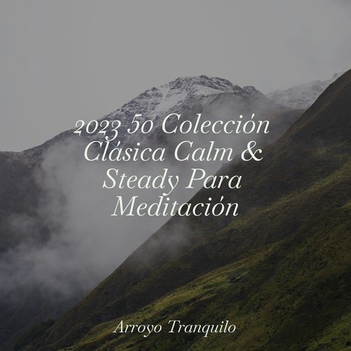 2023 50 Colección Clásica Calm & Steady Para Meditación