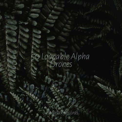Enchanted Apex cover art
