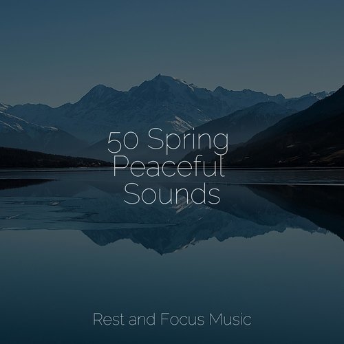 50 Spring Peaceful Sounds
