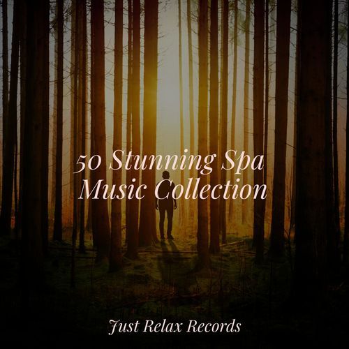 50 Stunning Spa Music Collection