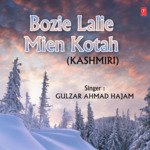 Yaar Mie Drayaa Baperva