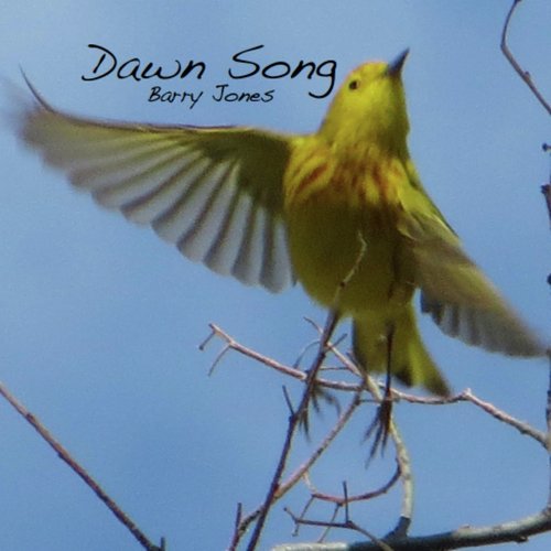 Virga cover art