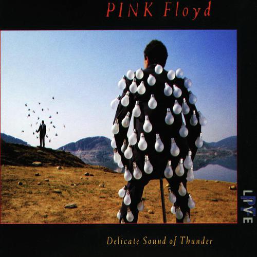 Comfortably Numb Live Lyrics Pink Floyd Only On Jiosaavn