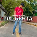Dil Kehta artwork