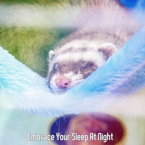 Embrace Your Sleep At Night
