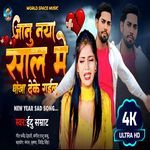 Jaanu Naya Sal Main  Dhokha Deke Gailu