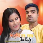 Ki Dekhiya Tore Amay Biya Dilo