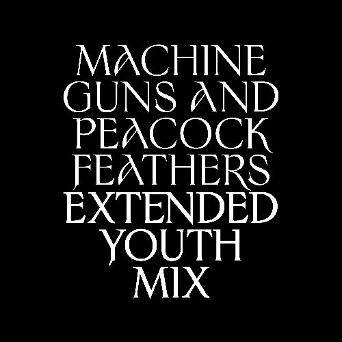 Machine Guns and Peacock Feathers (Extended Youth Mix)